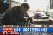 王守贺村民爆料视频大全,揭秘乡村生活百态