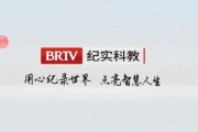 北京科教频道在线观看,在线观看，开启知识之门