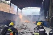 萍乡火灾新爆料新闻视频,视频揭露惊人细节，伤亡情况及原因调查持续深入