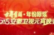 安徽卫视在线观看,精彩节目尽在掌握