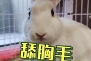 网红吃瓜群众 抖音号是真是假,抖音号真伪大追踪