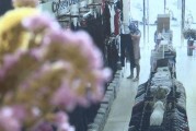 蒙面女生爆料视频大全,揭秘娱乐圈幕后真相