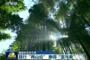 长汀新闻爆料,揭秘当地重大事件背后真相