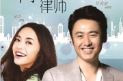 离婚律师在线观看,揭秘婚姻破裂背后的法律智慧